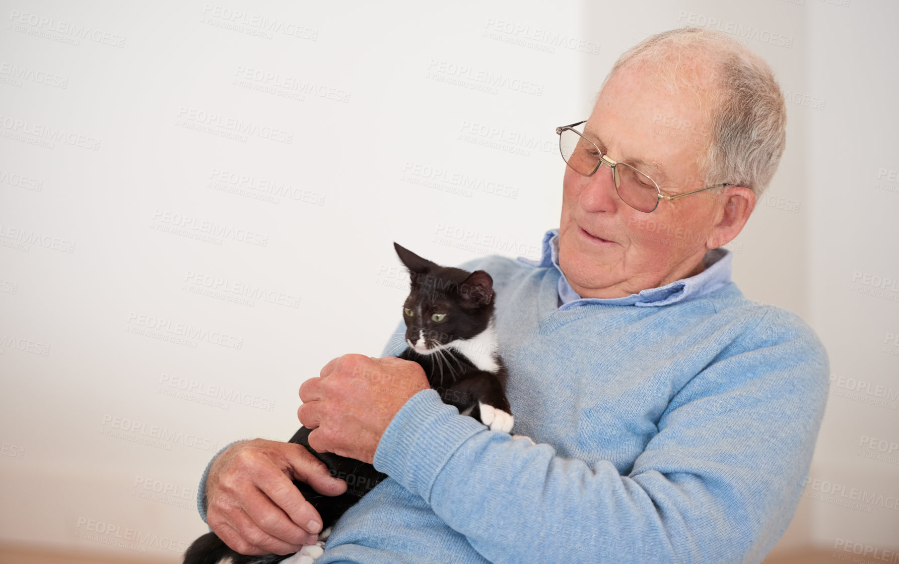 Buy stock photo Happy, home and senior man with a cat, love and playing with joy and caring with support and smile. Pensioner, apartment and old person with animal and cheerful with a pet and relaxing in a lounge