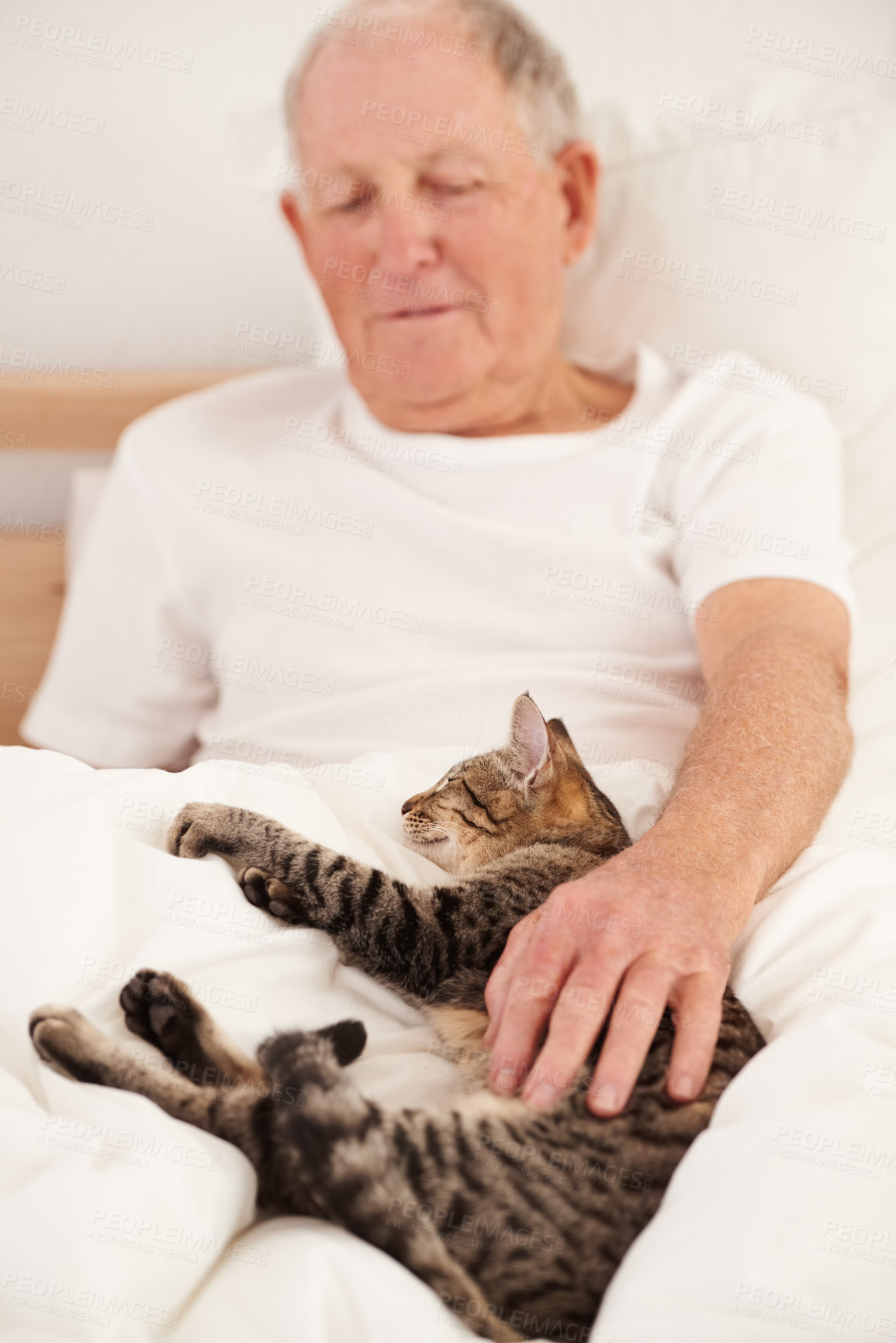 Buy stock photo Senior man, cat and relaxing in bed, smile and resting in retirement at home. Elderly male person, bedroom and morning routine in apartment, animal and bonding with pet for fun or playful on weekend