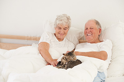Buy stock photo Senior couple, bed and cat for smile, embrace and love in morning for bonding and cuddle. Mature man, woman and kitty pet, happy and retirement to enjoy marriage and old people in bedroom at home