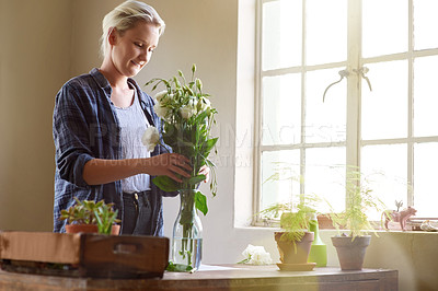Buy stock photo Shot of a young florist arranging flowers in a vase