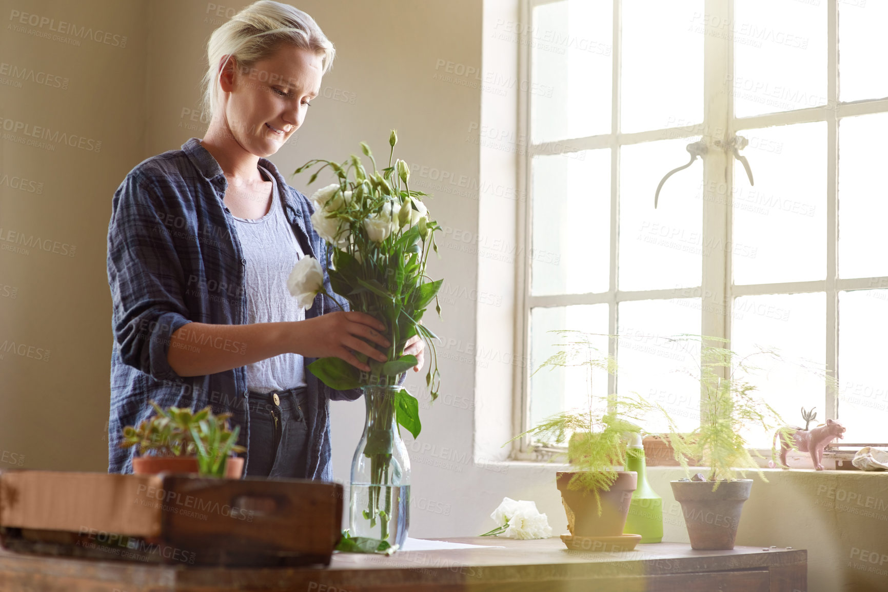 Buy stock photo Shot of a young florist arranging flowers in a vase