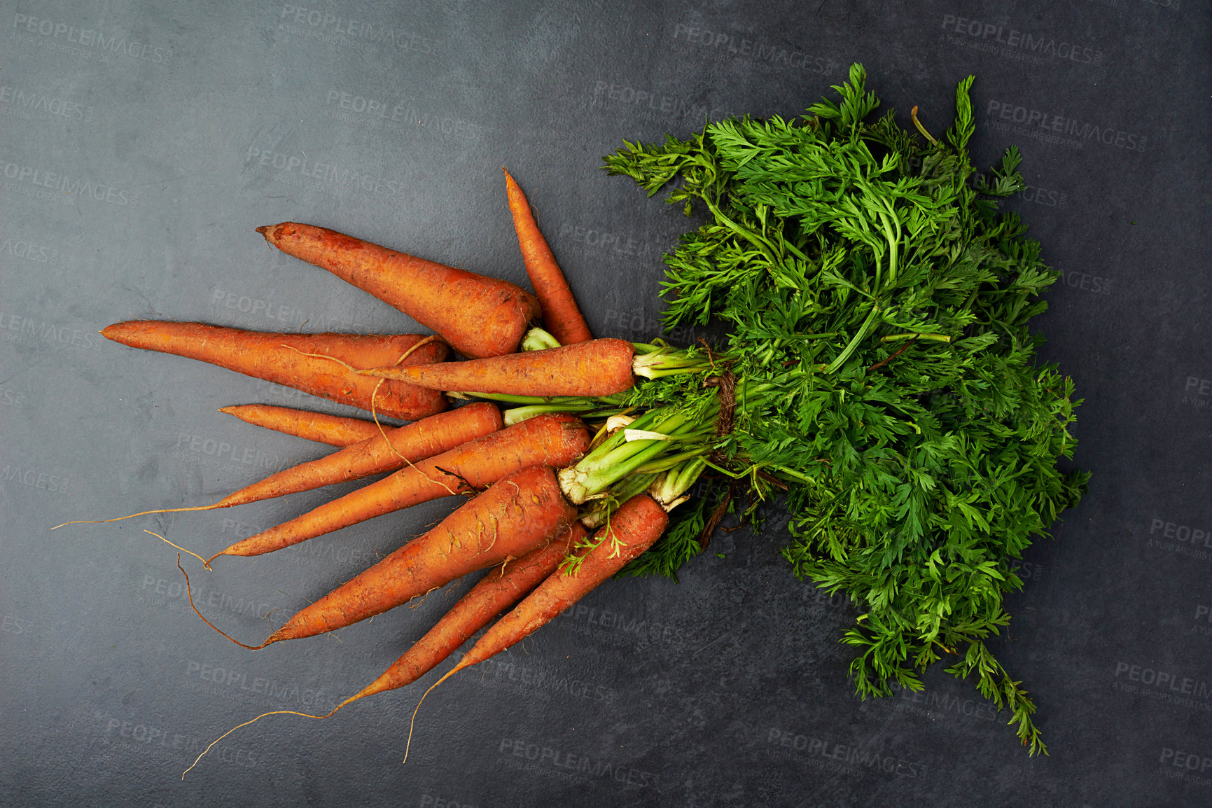 Buy stock photo Carrot, organic and healthy plant on dark background for nutrition, health and weight loss. Vegetables, diet and market produce isolated in studio for vegan, food and cooking in house from garden