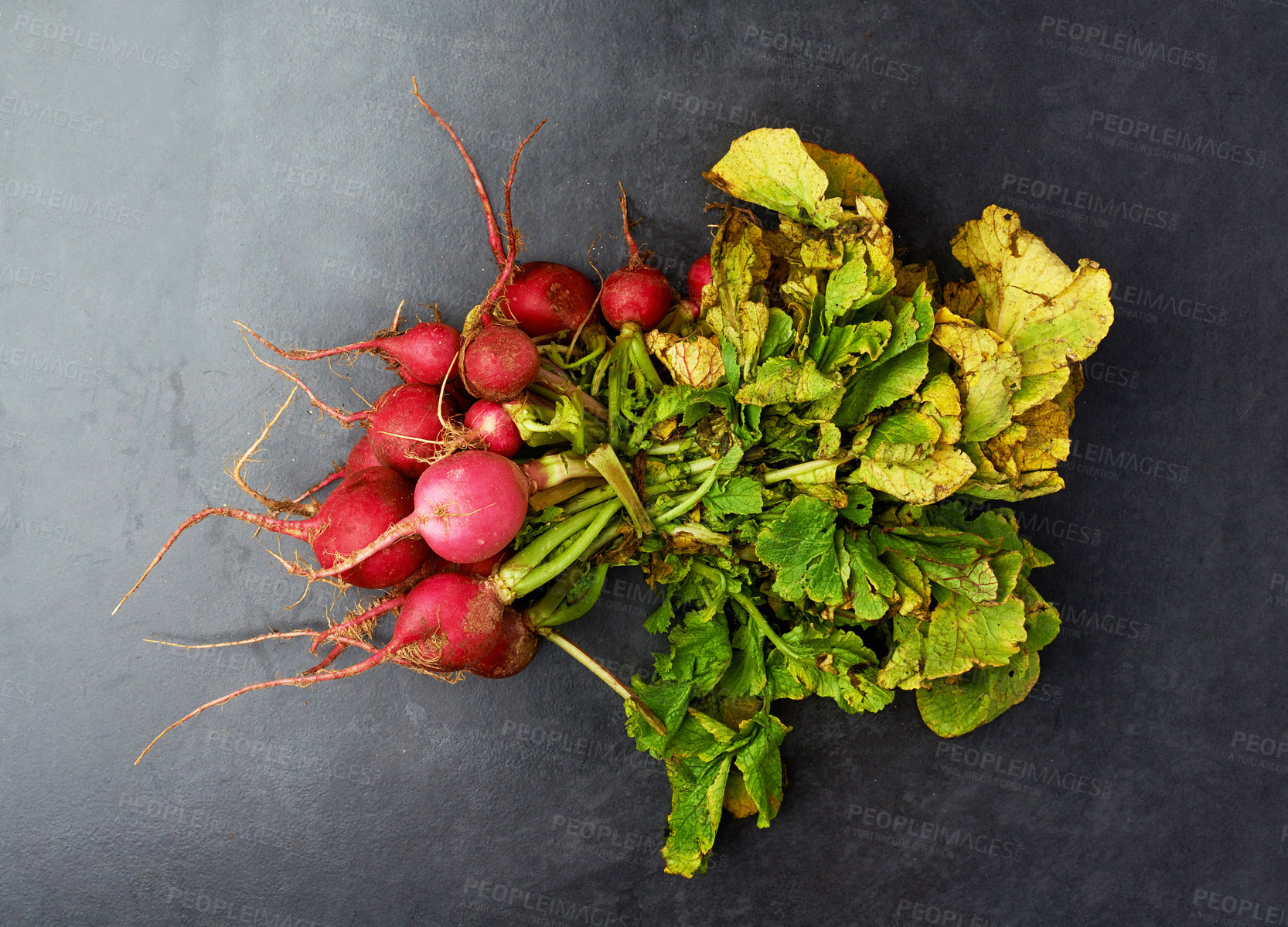 Buy stock photo Radish, organic and roots on dark background for nutrition, health and weight loss. Vegetables, diet and market produce isolated in studio for vegan, food and cooking in house from natural resource.