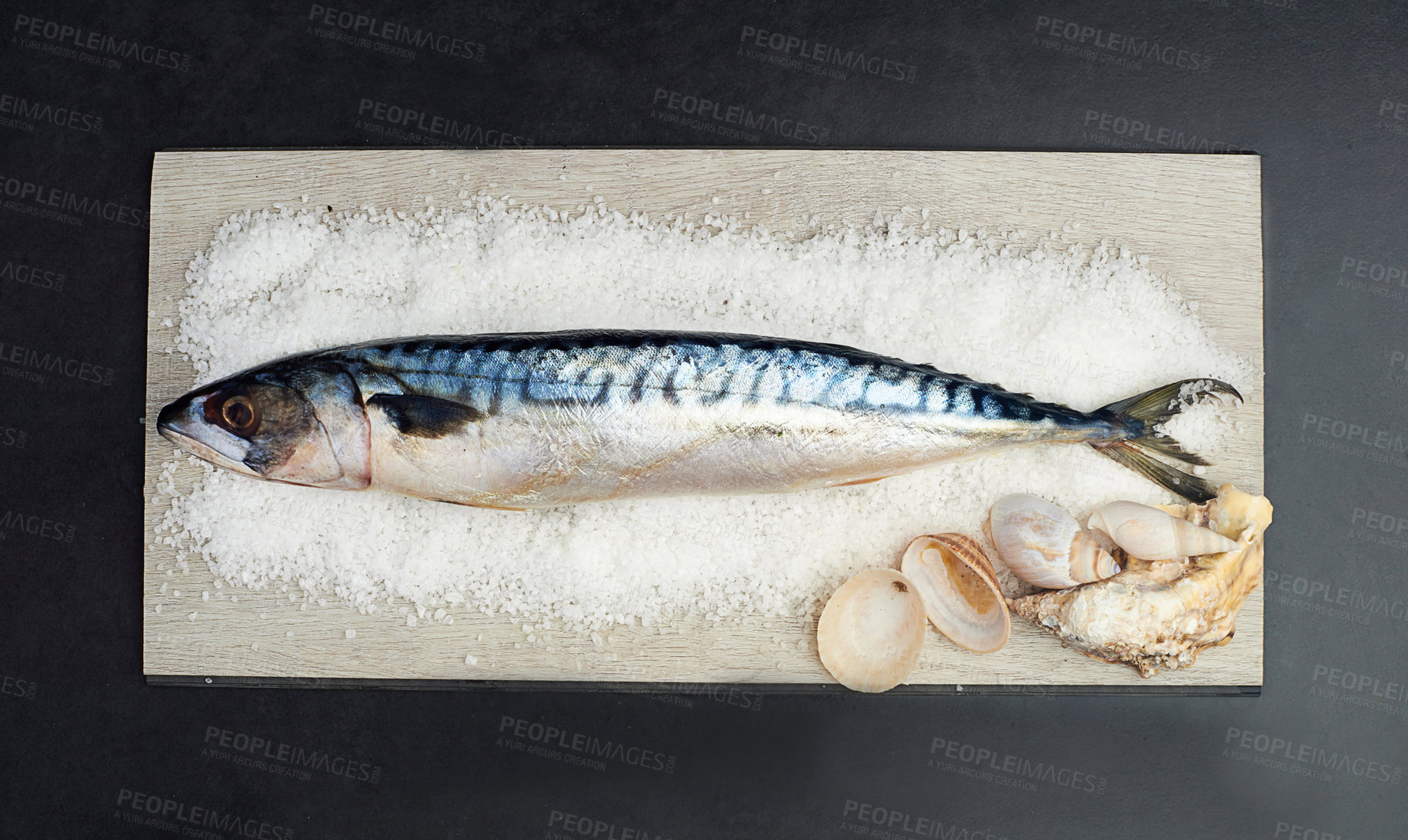 Buy stock photo Fish, sea salt and shells on chopping board for frying, cooking or baking healthy, fresh and high protein food. Ingredients, kitchen and seasoning for eating balanced diet, gourmet supper or dinner