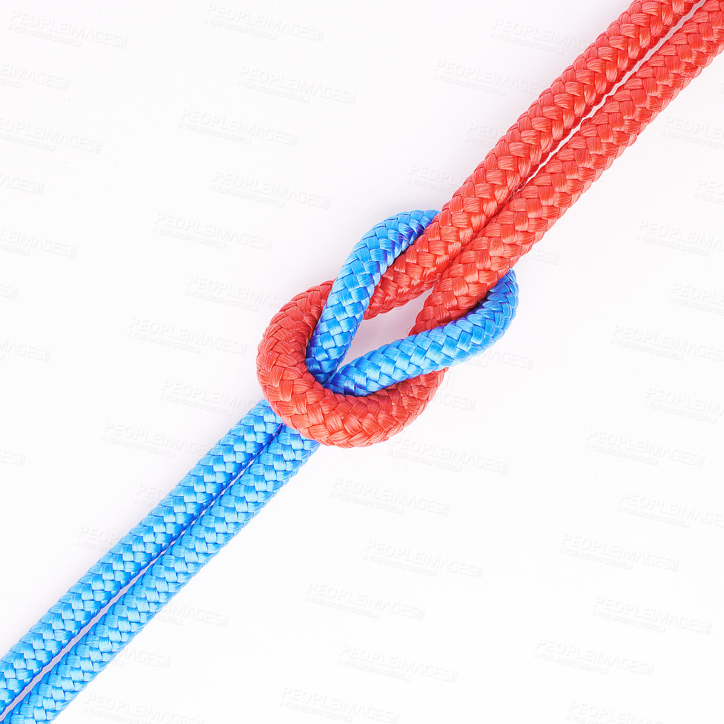 Buy stock photo Closeup of red and blue ropes knotted together, isolated on white studio background. Two connected bounds tied and linked as unbreakable chain. Knot tying is a challenging skill to learn