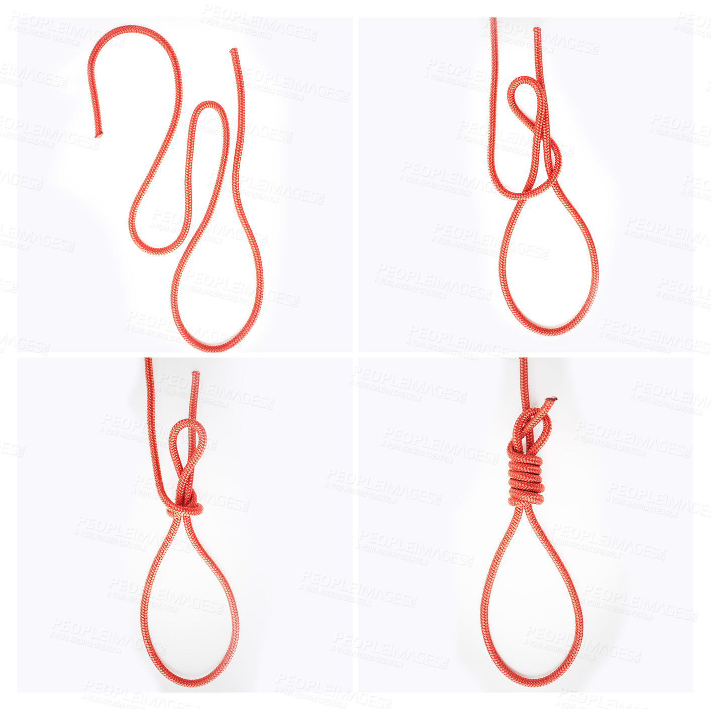 Buy stock photo Knot, noose or how to tie ropes on white background in studio for security or instruction steps frame. Material, safety or color design for gear technique, tools or learning for survival guide lesson