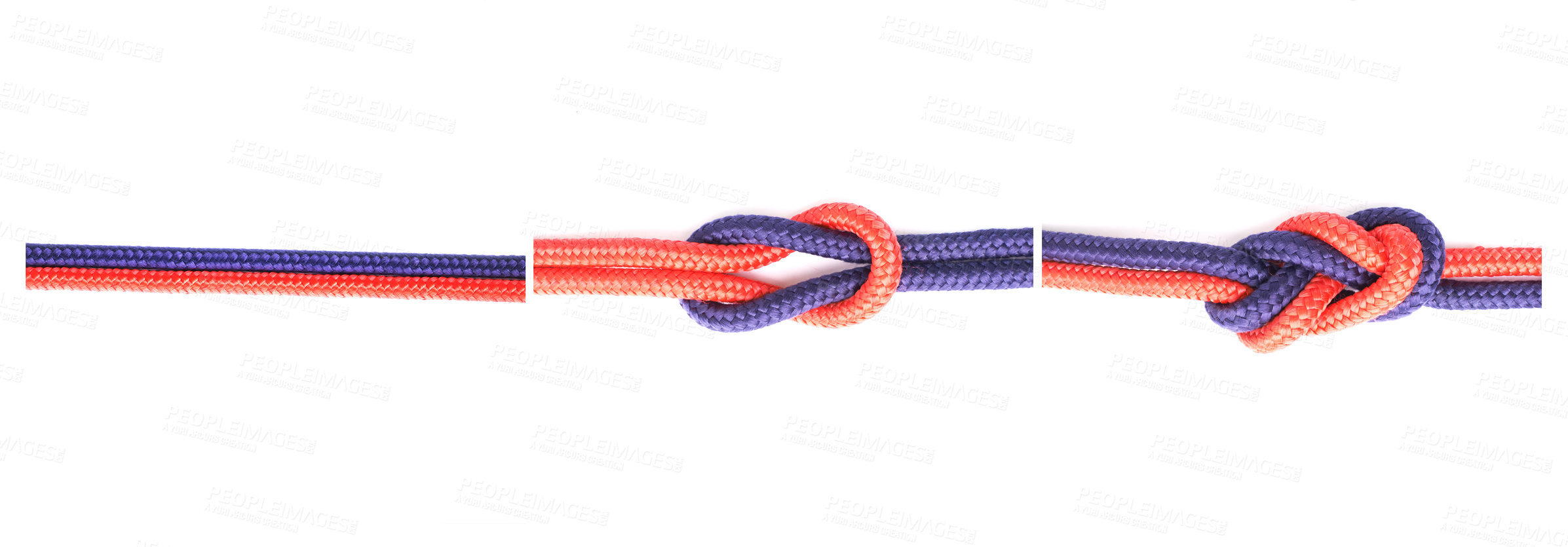 Buy stock photo Knot, cable or how to tie ropes on white background in studio for security or instruction steps. Material, safety and color design for cords technique, tools or learning for survival guide lesson