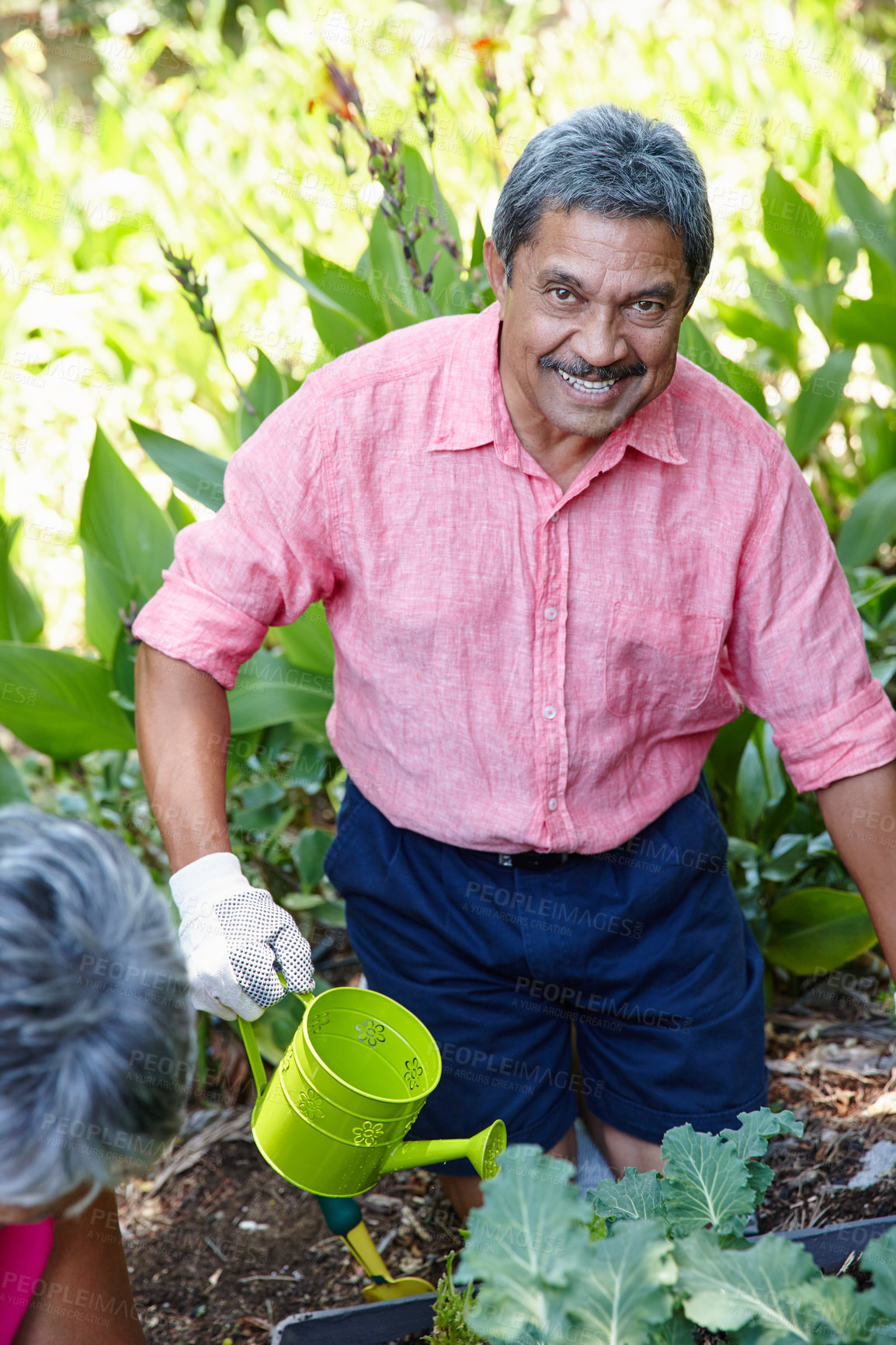 Buy stock photo Shot of a happy senior man gardening in his backyard