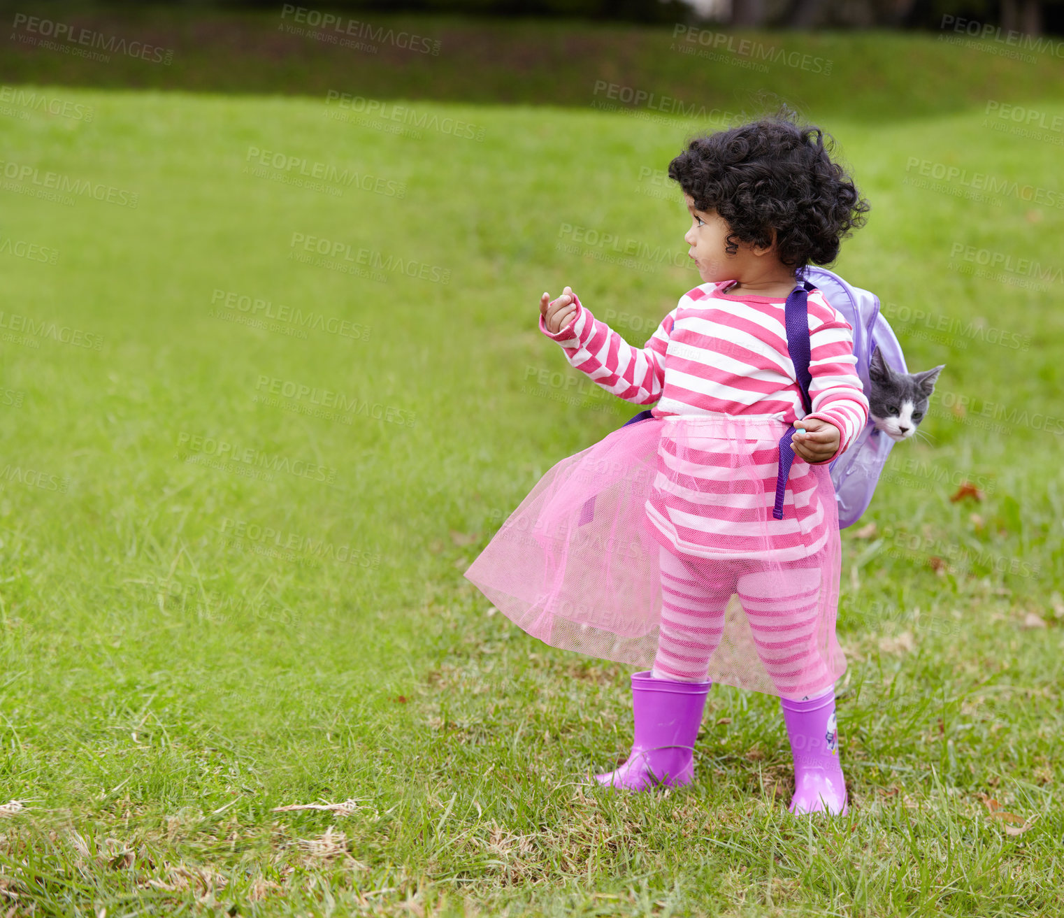 Buy stock photo Nature, kitten and girl child with backpack walking on grass in outdoor garden in summer. Confused, backyard and young kid with childhood playing on the lawn with cat in field or park in countryside.