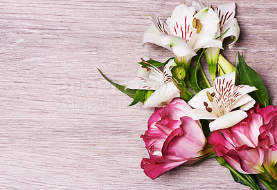 Buy stock photo Studio shot of pink and white lilies