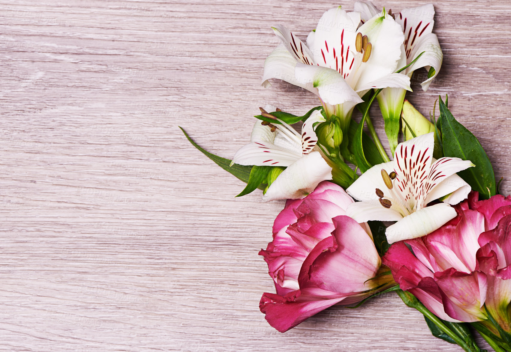 Buy stock photo Studio shot of pink and white lilies