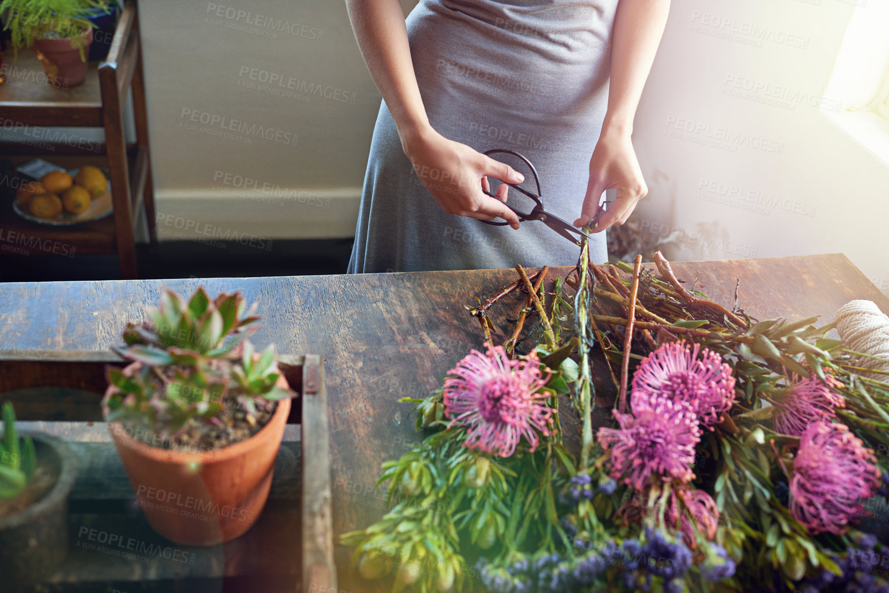 Buy stock photo Flowers, workshop and hands of florist with bouquet for small business with gift, order or present. Scissor, horticulture and female floral artist with colorful plants arrangement with creativity.