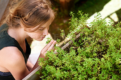 Buy stock photo A young woman smelling herbs in her garden