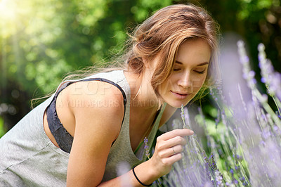 Buy stock photo A young woman smelling lavender in her garden