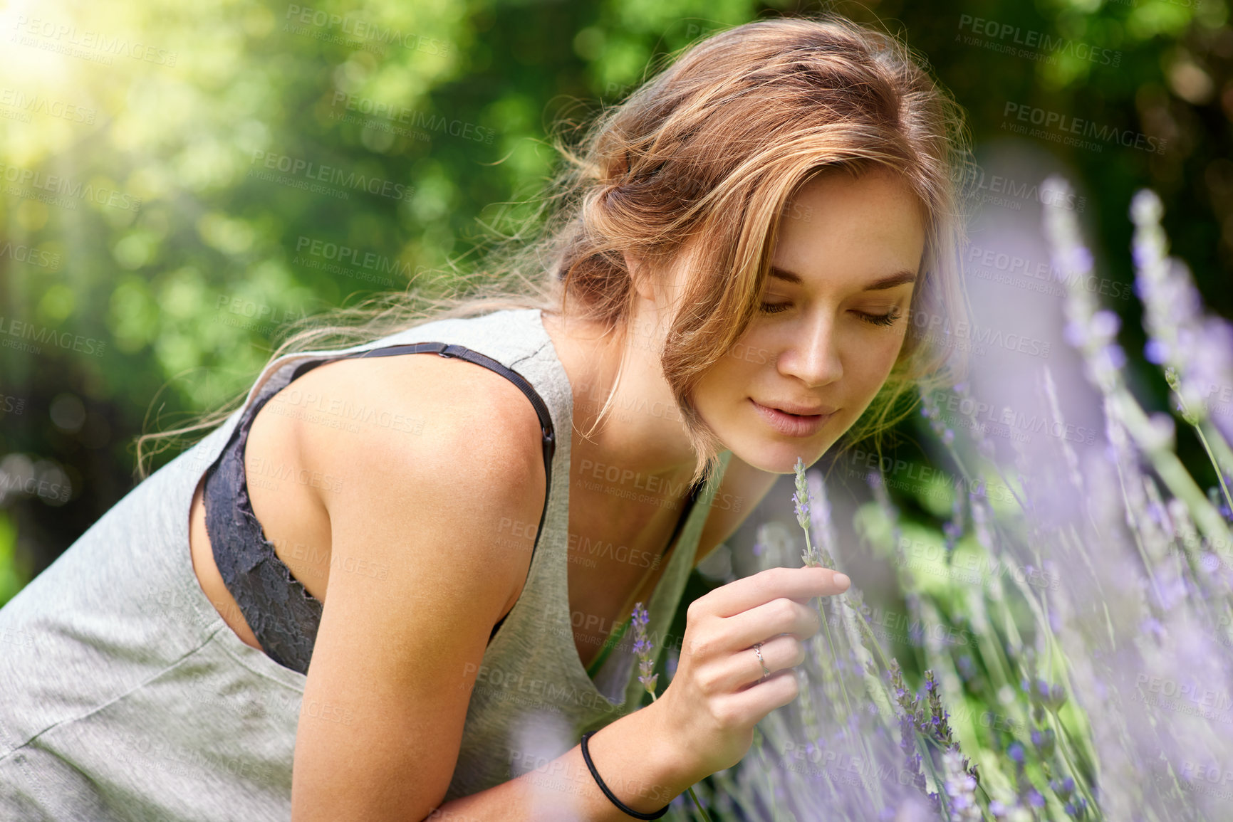 Buy stock photo A young woman smelling lavender in her garden