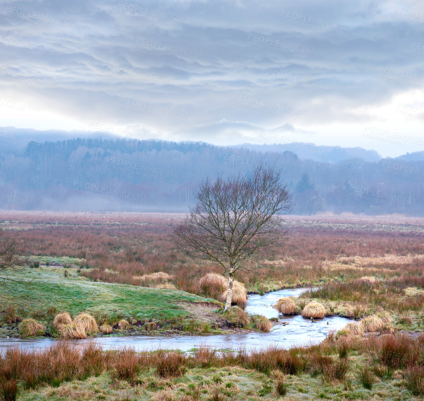 Buy stock photo River, tree and clouds in nature or environment with landscape for sustainability in countryside. Water, plants and bush or fog in morning for outdoor and eco friendly location or travel destination 