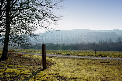 Buy stock photo Nature, landscape and countryside with peace or relax for freedom, environment or calm location in England. Holiday, mockup space and park with tree for sustainability travel in winter, fog on hill