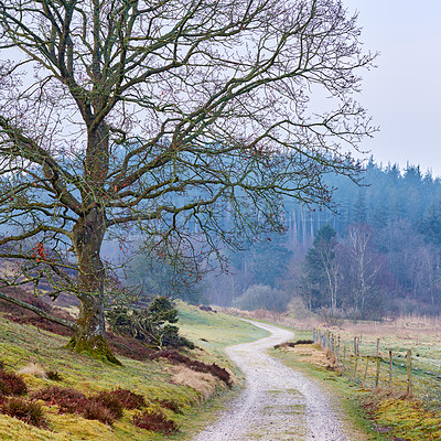 Buy stock photo Nature, landscape and countryside with calm or freedom for relax, environment location or peace in England. Holiday, journey and park with mountain for sustainability in winter, road to adventure