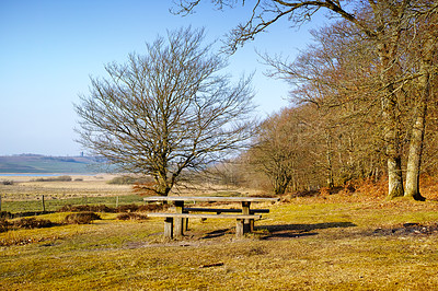 Buy stock photo Nature, bench and landscape for relax with peace in outdoor, calm in winter for environment. Freedom, park and rest spot with scenic view in countryside for travel, chair for wellness in Norway