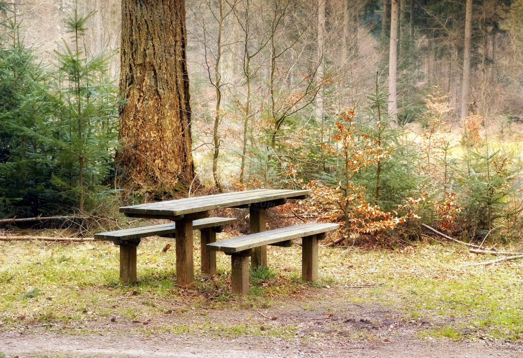 Buy stock photo Nature, bench and landscape for travel with peace in outdoor, calm in winter for environment. Freedom, park and rest spot with scenic view in countryside for relax, chair for wellness in Norway