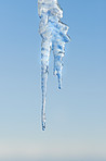 Nature of Ilulissat - Greenland