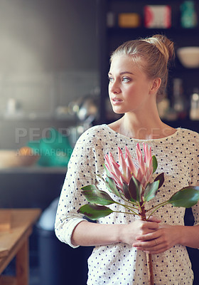 Buy stock photo Shot of a beautiful young woman standing in her kitchen holding a protea flower