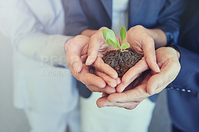 Buy stock photo Businesspeople, hands and plant in soil or growth in startup company or new opportunity, development or investment. Fingers, dirt and greenery with teamwork for sustainability, eco friendly or nature