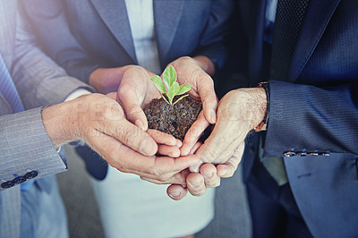 Buy stock photo Business, plants in group hands for eco environment growth and zoom closeup. Teamwork or collaboration, sustainability in green startup project and corporate people holding soil for earth day