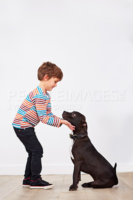 Buy stock photo Happy child, dog and kid playing with pet, having fun and bonding together for connection at home by a wall on mockup space. Young boy, canine and touch animal with care, love and friendship of owner