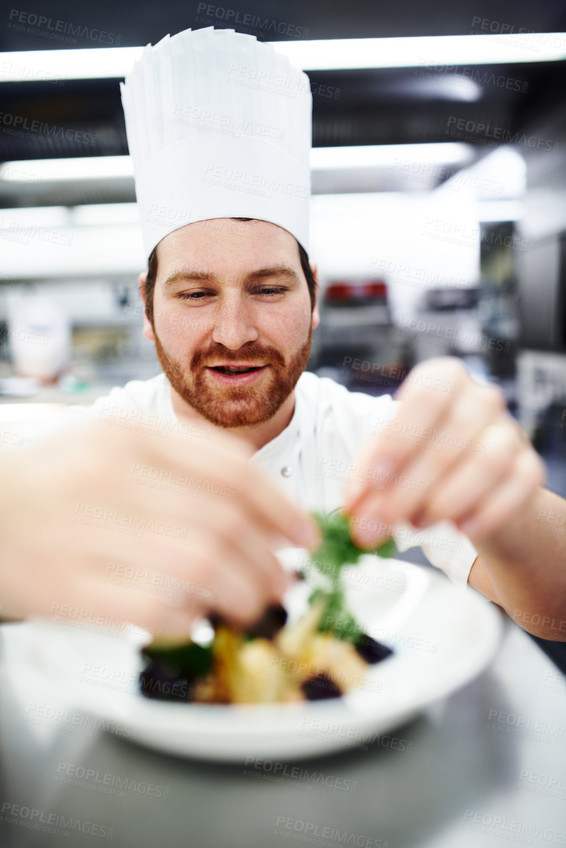 Buy stock photo Cooking, chef and man in restaurant kitchen with food plate for fine dining, service or hospitality. Expert, culinary professional or hands preparing meal, lunch or garnish dinner for hotel catering