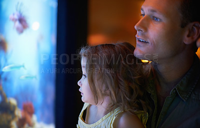 Buy stock photo Father, aquarium and child looking at fish for learning, curiosity and knowledge, education and bonding together. Dad, fishtank and girl watching marine life or animals swim underwater in oceanarium.