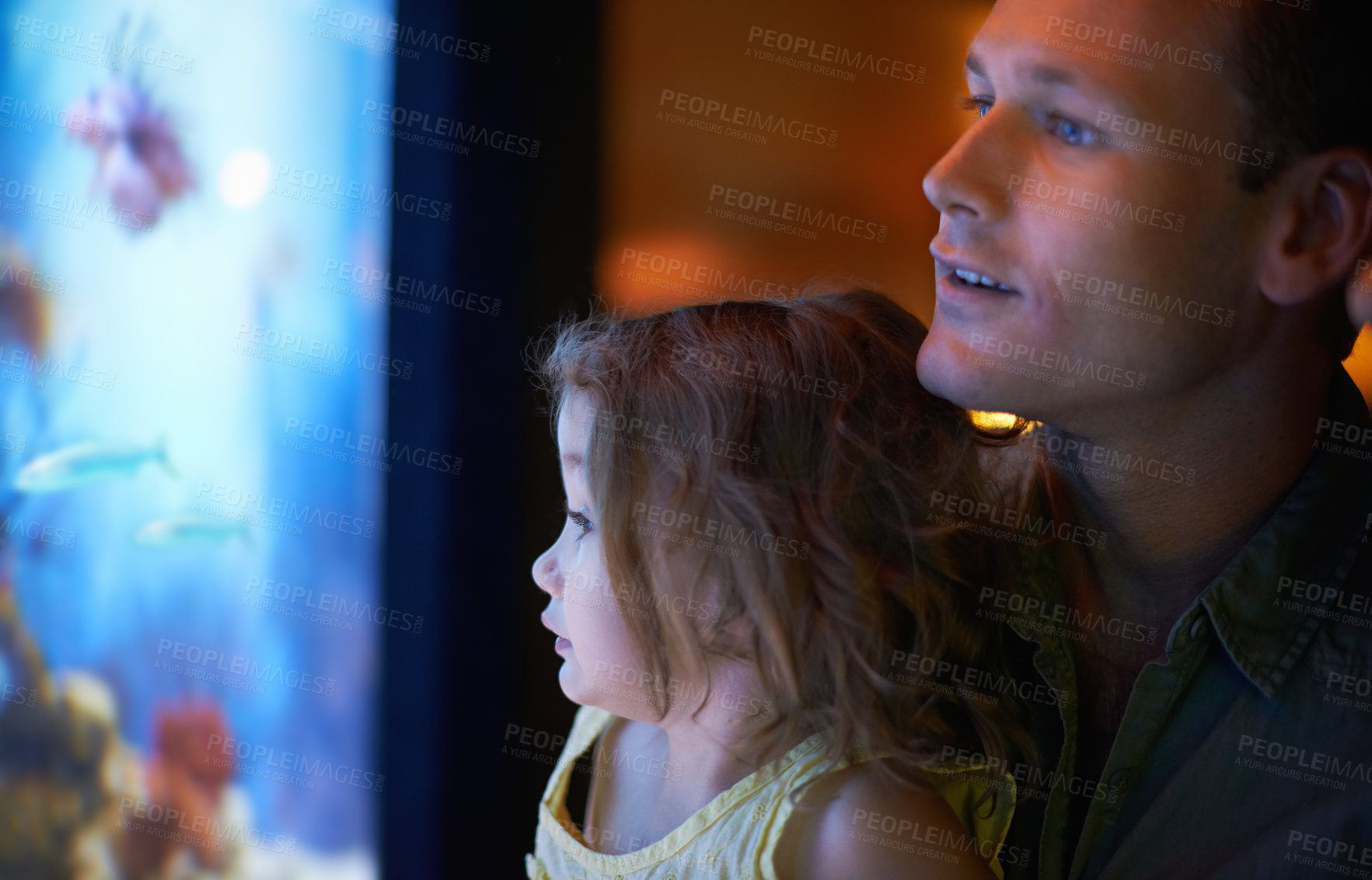 Buy stock photo Father, aquarium and child looking at fish for learning, curiosity and knowledge, education and bonding together. Dad, fishtank and girl watching marine life or animals swim underwater in oceanarium.