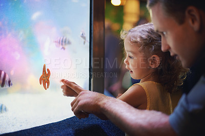 Buy stock photo Father, aquarium and girl pointing at fish for learning, curiosity and knowledge, education and bonding. Dad, oceanarium and child with parent watching marine life underwater in fishtank on vacation.