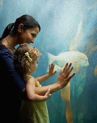 Buy stock photo Shot of a mother and daughter on an outing to the aquarium