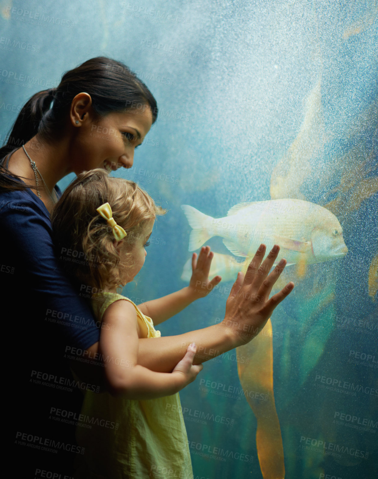 Buy stock photo Shot of a mother and daughter on an outing to the aquarium