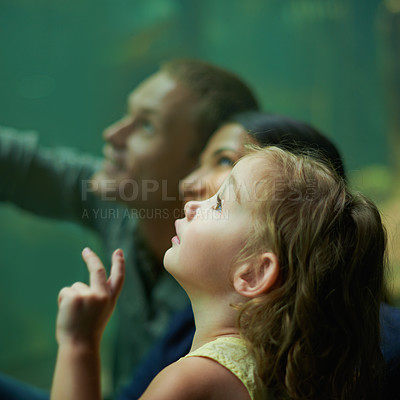Buy stock photo Shot of a family of three on an outing to the aquarium