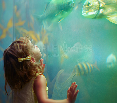 Buy stock photo Girl, aquarium and child looking at fish for learning, curiosity and knowledge, development and nature. Education, fishtank and kid watching marine life or animals swim underwater in oceanarium.