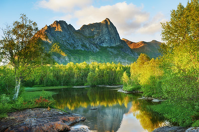 Buy stock photo Nature forest landscape of Nordland mountain in the background with a quiet and calm lake surrounded by green forest during sunset. Reflection of the summer sky in the water and lush green foliage 