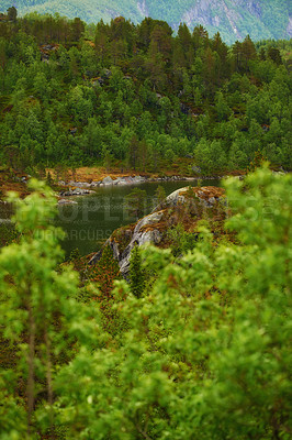 Buy stock photo Nature, river and trees in Norway for landscape, sustainable plants or national park with creek. Green, summer and beauty on Earth with reduced carbon footprint, woods or natural reserve in Europe