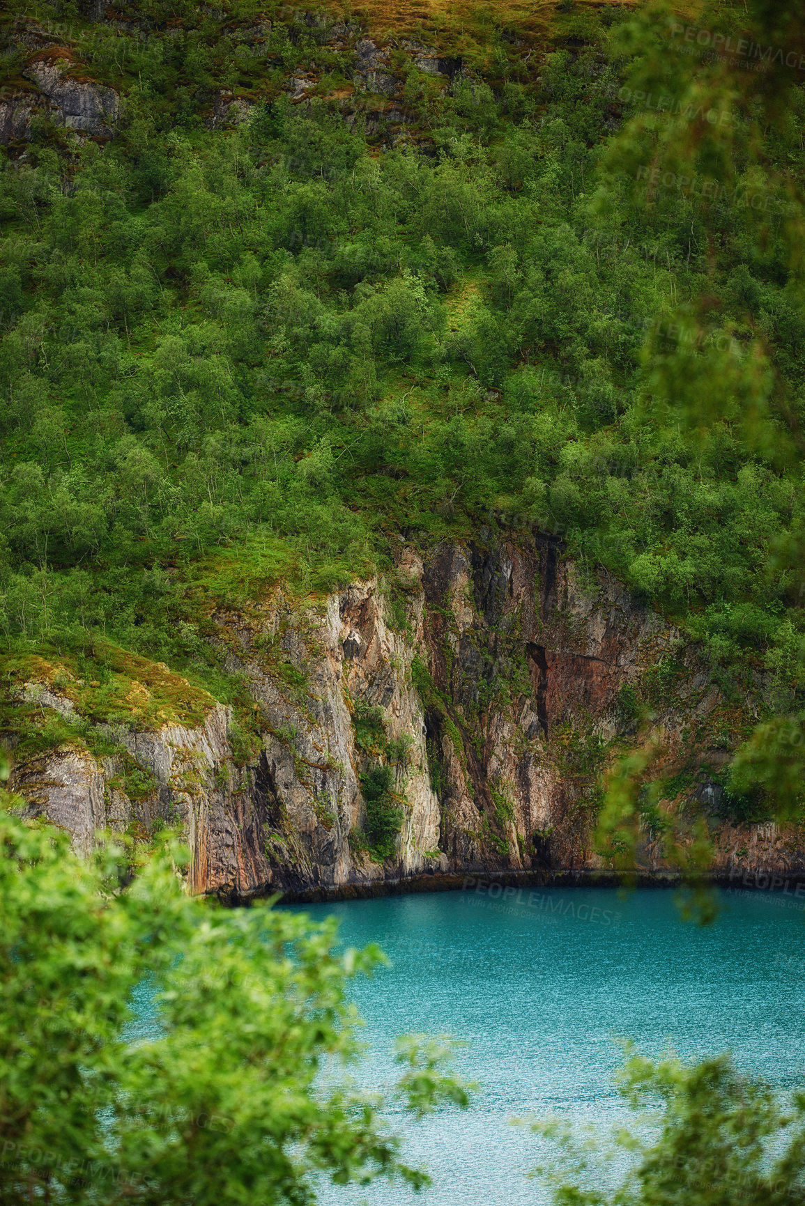 Buy stock photo Trees, nature and lake with mountain, water and environment for travel in Austria. Forest, river and landscape for tourism adventure, hiking and summer vacation in countryside outdoor on background