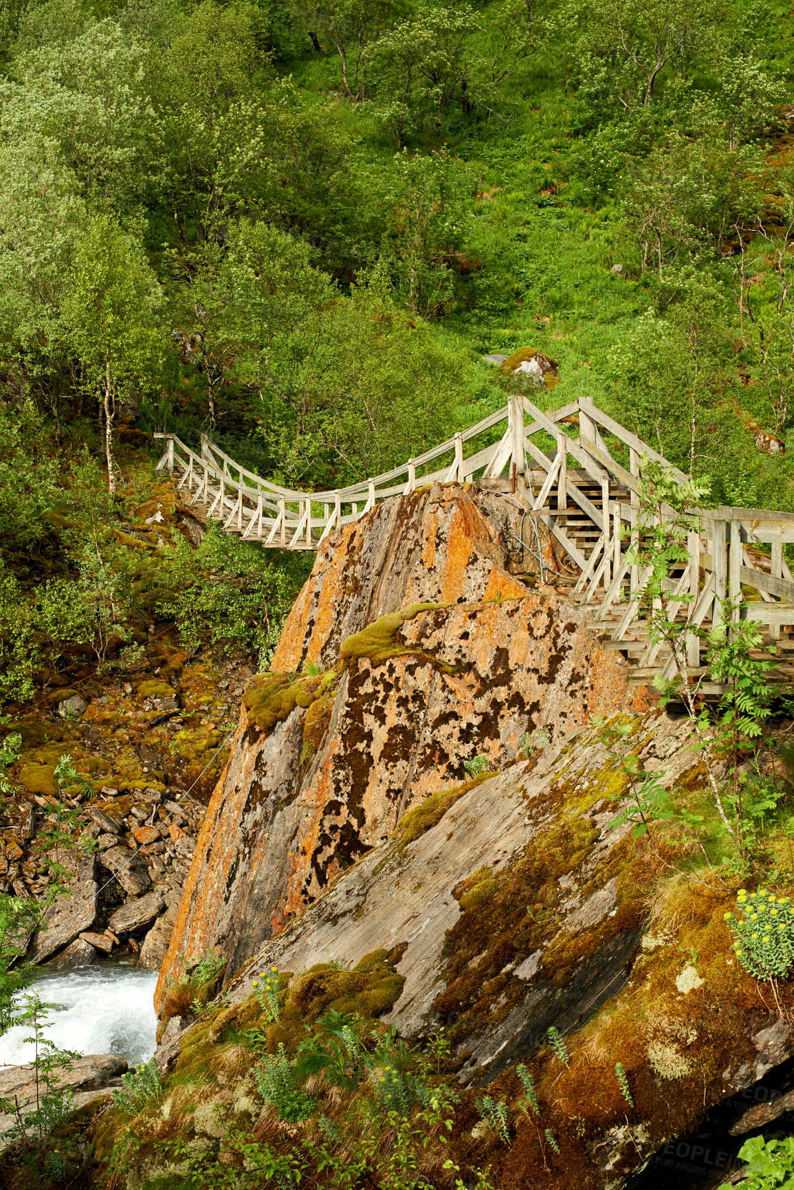 Buy stock photo Forest, landscape and mountain for nature in summer Norway, wood bridge and sustainable environment for travel. Green, jungle and ecology with woods, peace and eco friendly of outdoor adventure 