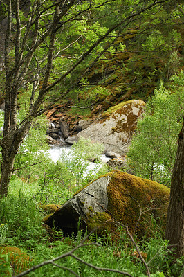 Buy stock photo Morning, woods and mountain stream with forest in winter for travel, climbing and hiking. Landscape, nature and view of green environment, clouds and Norway countryside for calm adventure on rocks