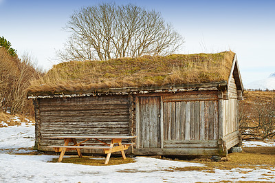 Buy stock photo Nature, moss and wood cabin in countryside for vintage architecture, landscape or rustic cottage. Empty, tree and farm house in Denmark for environment, sustainability or emergency winter shelter 