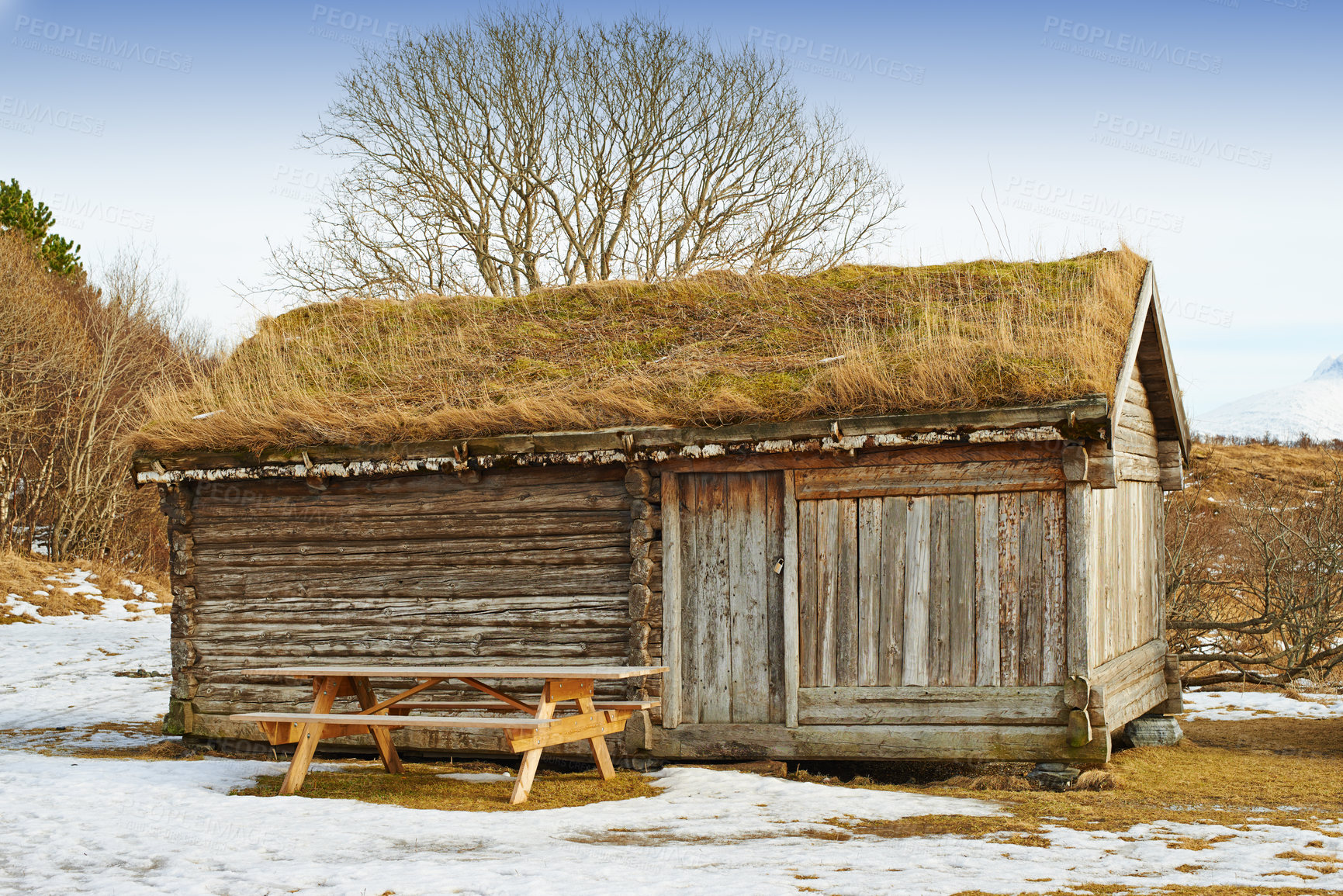 Buy stock photo Nature, moss and wood cabin in countryside for vintage architecture, landscape or rustic cottage. Empty, tree and farm house in Denmark for environment, sustainability or emergency winter shelter 