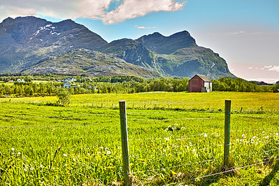 Buy stock photo Landscape, countryside and mountain for nature in summer, agriculture and harvest growth of sustainable environment. Green, field and ecology for organic, peace and eco friendly of outdoor adventure 