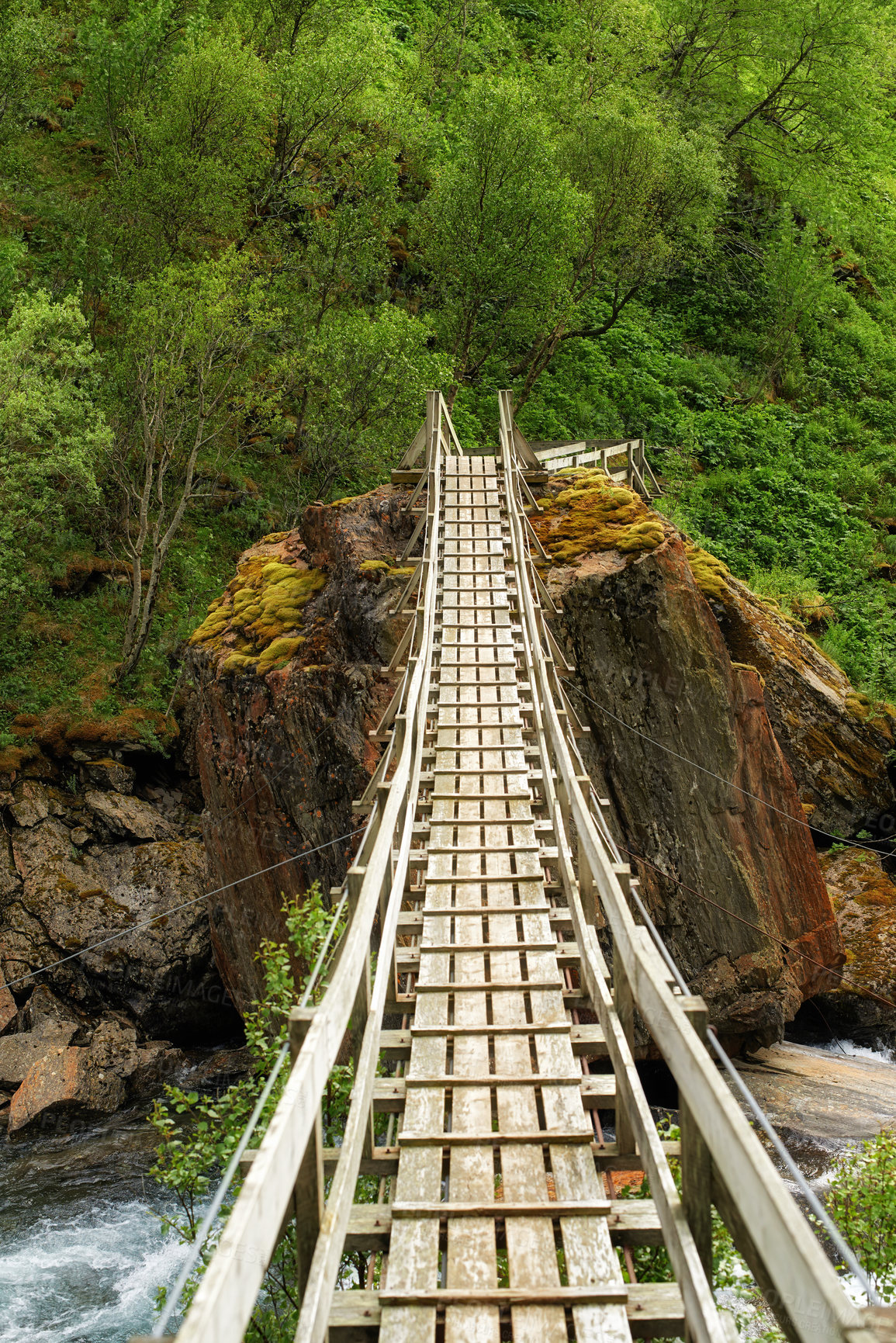 Buy stock photo Wooden suspension bridge, river and forest in nature, trees sustainability for tourism with hiking in park. Outdoor, water and hill in woods, adventure and safety to cross rocks in summer in Norway