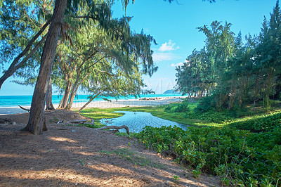 Buy stock photo Beach, trees and park in Hawaii with water for travel, sustainability and tropical vacation. Landscape, outdoor and blue sky in nature on island for summer and tourism with green grass with ocean