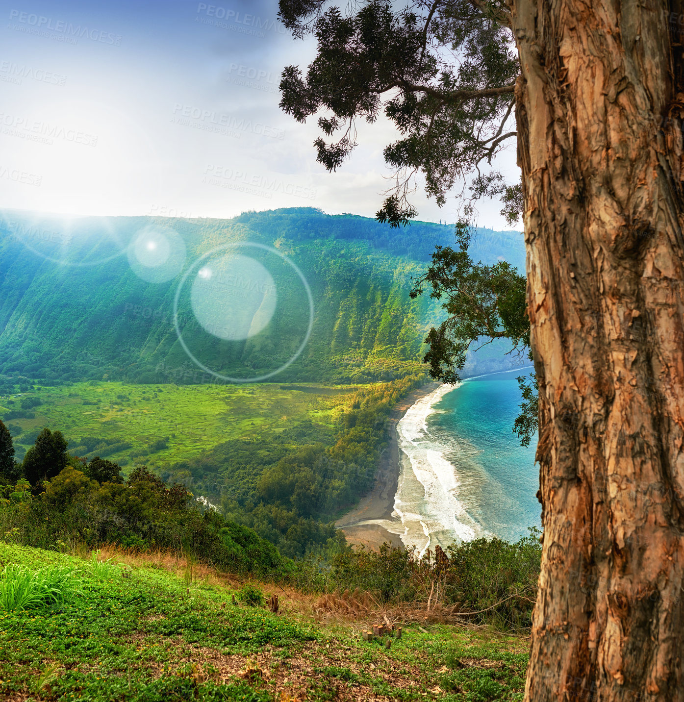 Buy stock photo Shot of a natural landscape