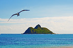 Beach - the island of Oahu, Hawaii