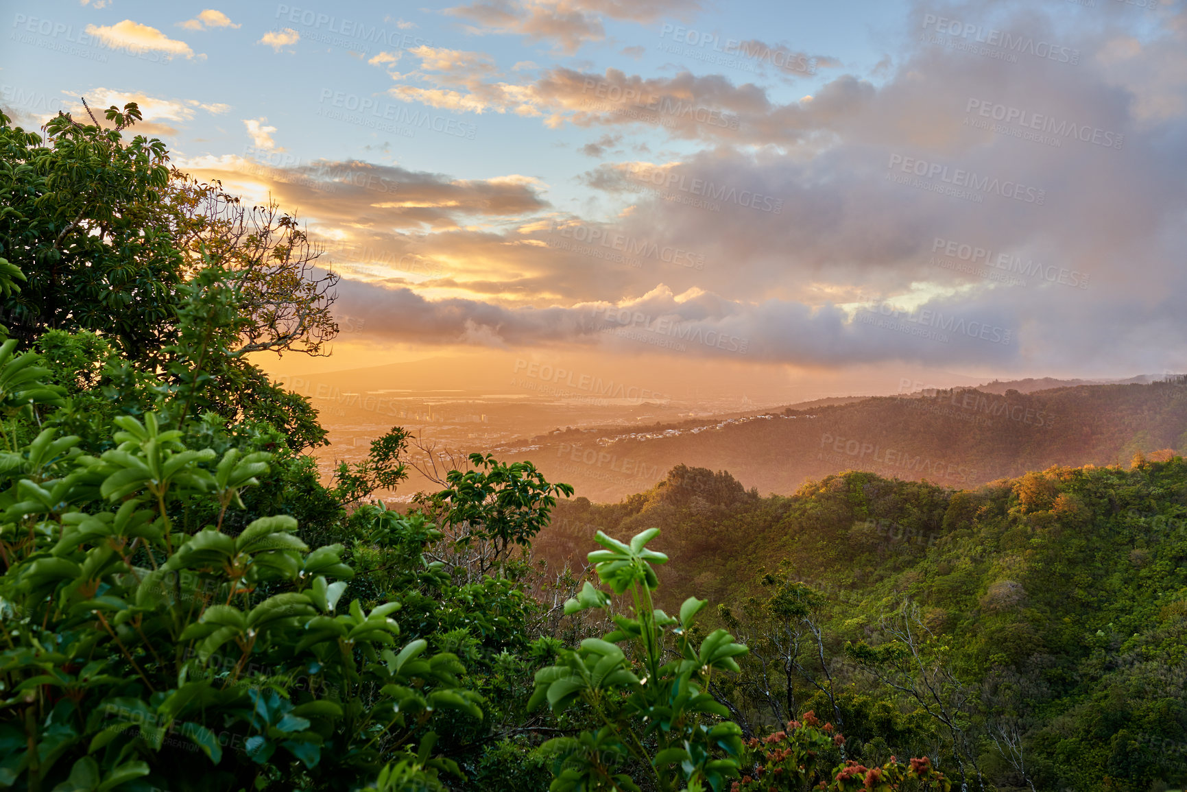 Buy stock photo Shot of a natural landscape